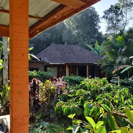 Dina Home Stay At Desa Wisata Wongayagede جاتيلويه المظهر الخارجي الصورة
