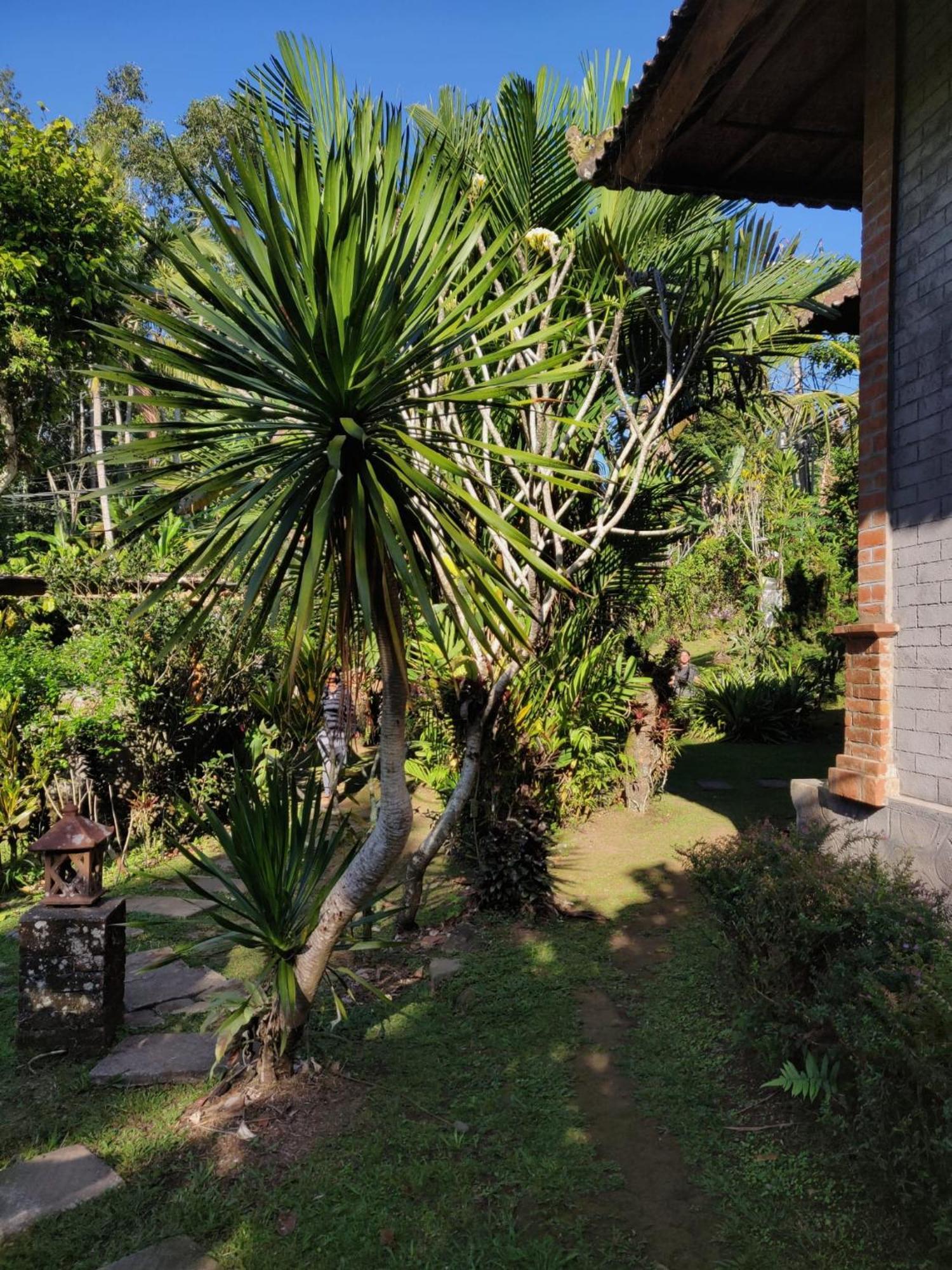 Dina Home Stay At Desa Wisata Wongayagede جاتيلويه المظهر الخارجي الصورة