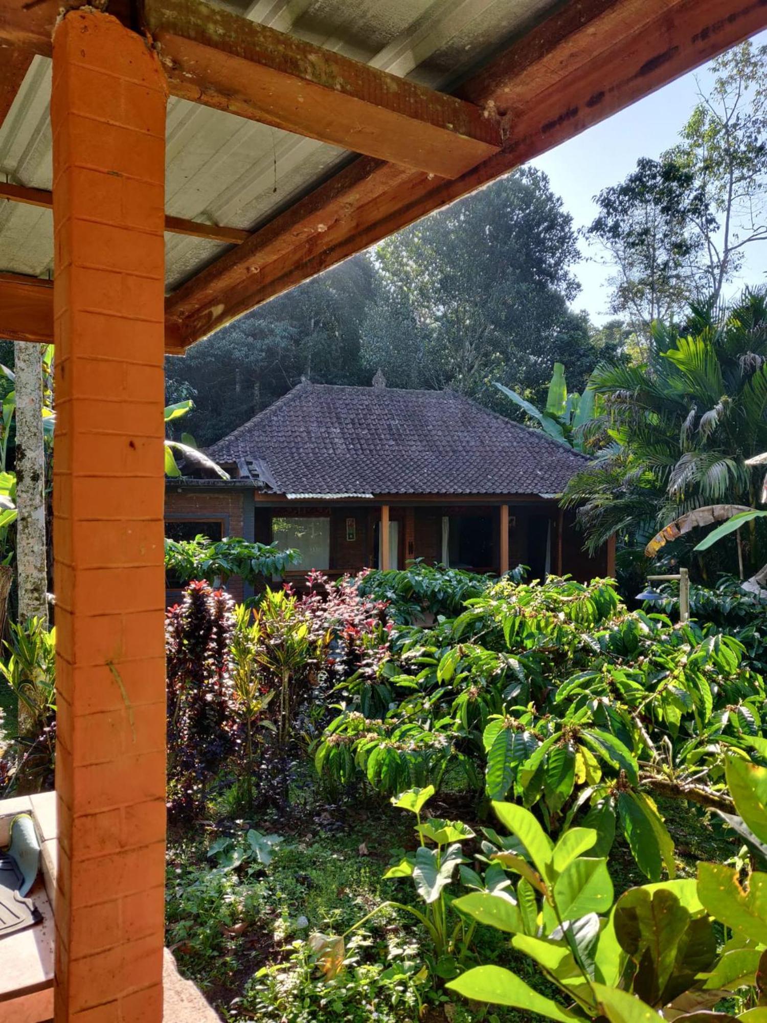 Dina Home Stay At Desa Wisata Wongayagede جاتيلويه المظهر الخارجي الصورة