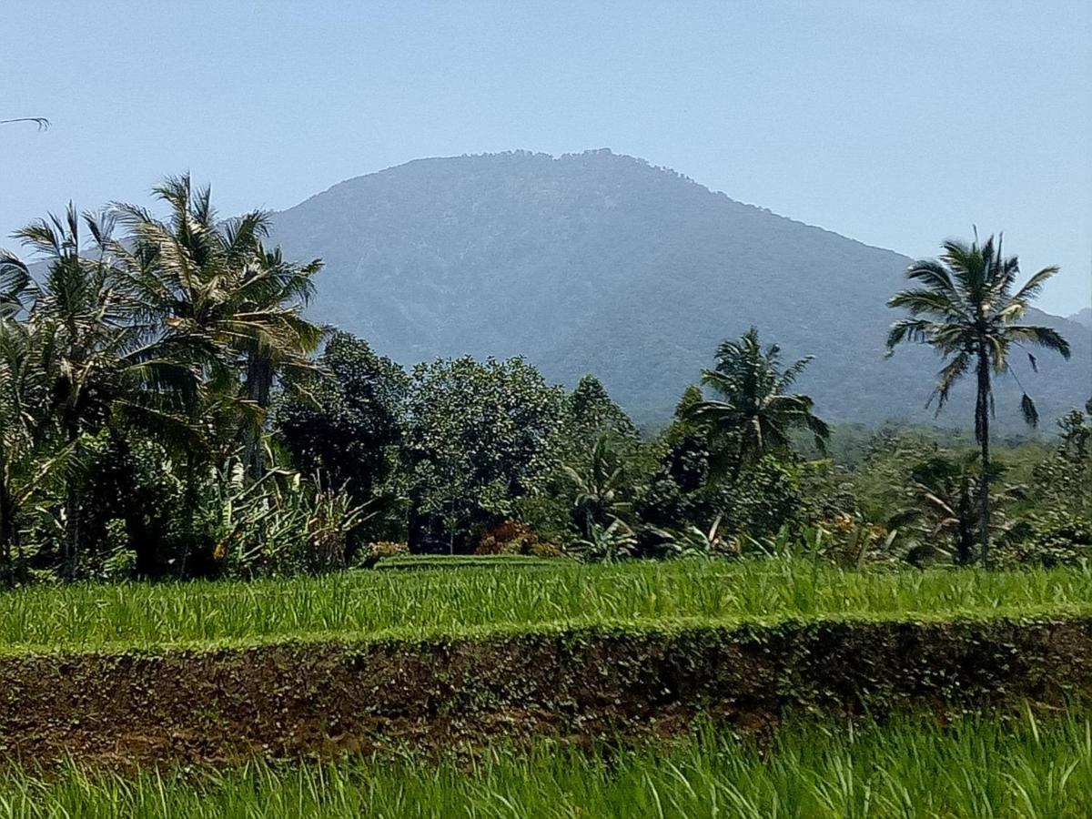 Dina Home Stay At Desa Wisata Wongayagede جاتيلويه المظهر الخارجي الصورة